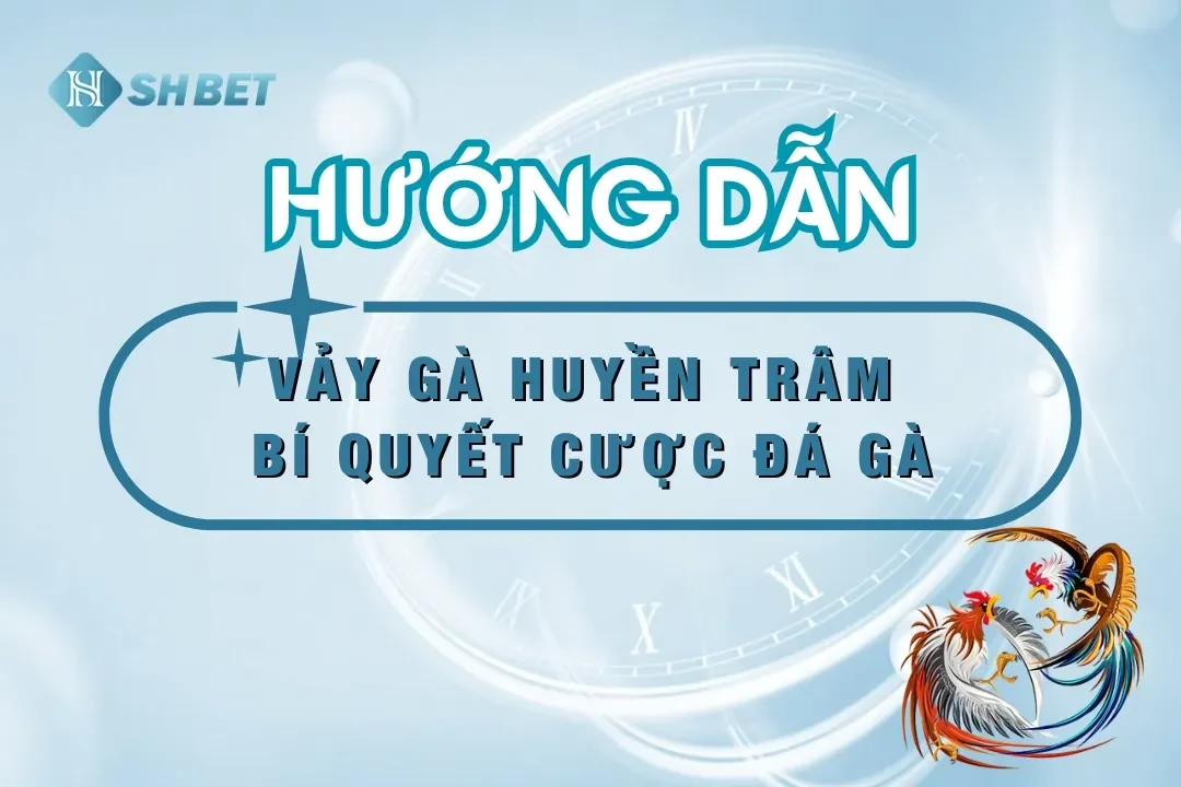 Vảy Gà Huyền Trâm Bí Quyết Cược Đá Gà Thành Công Trên SHBET