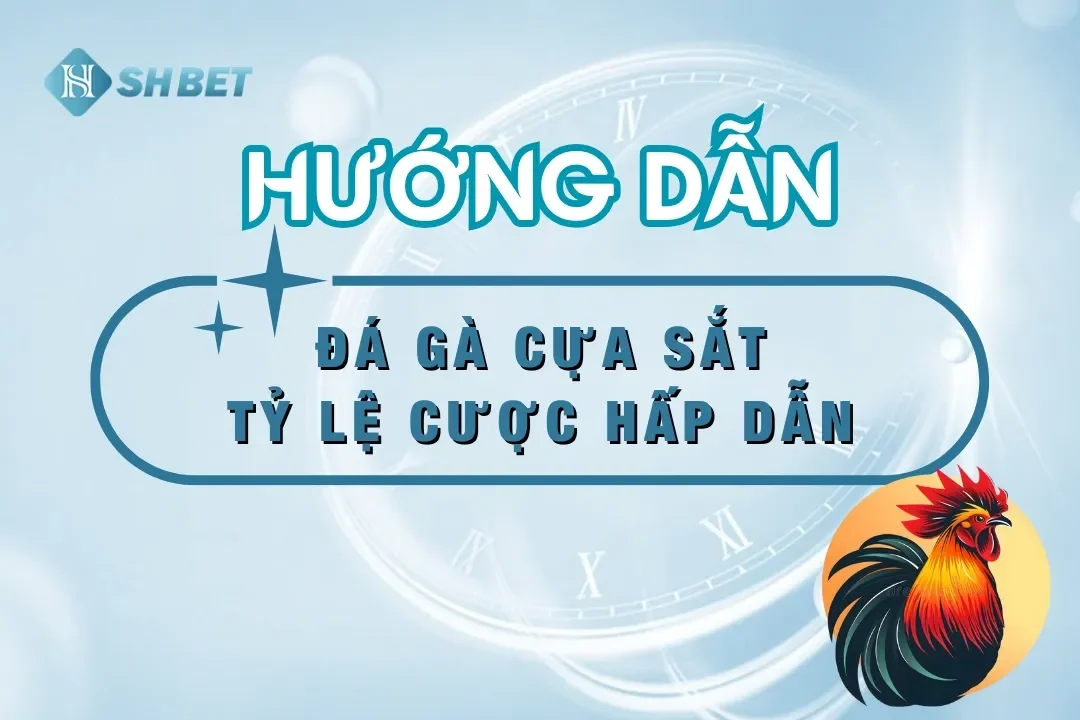 đá gà cựa sắt shbet