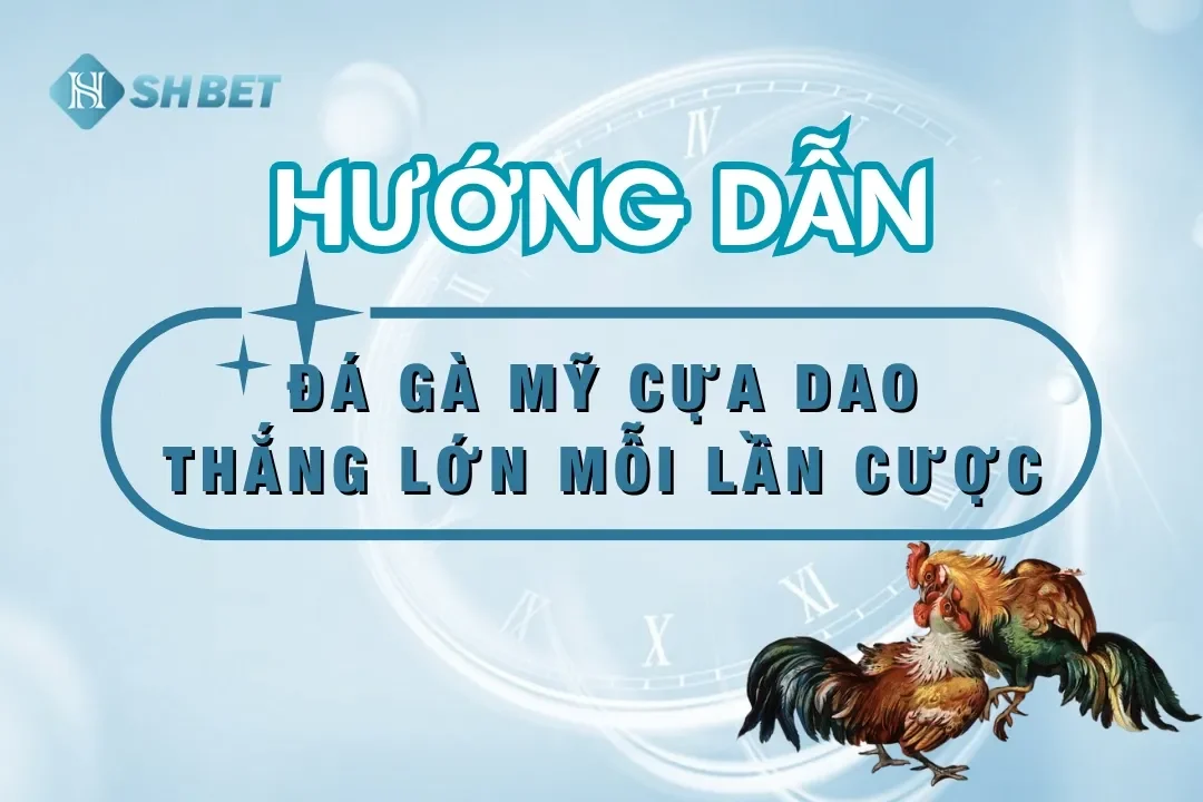 đá gà mỹ cựa dao trực tiếp