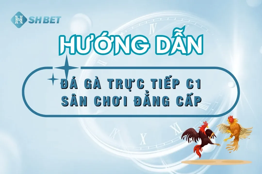 Đá Gà Trực Tiếp C1 – Sân Chơi Cá Cược Đẳng Cấp Hàng Đầu