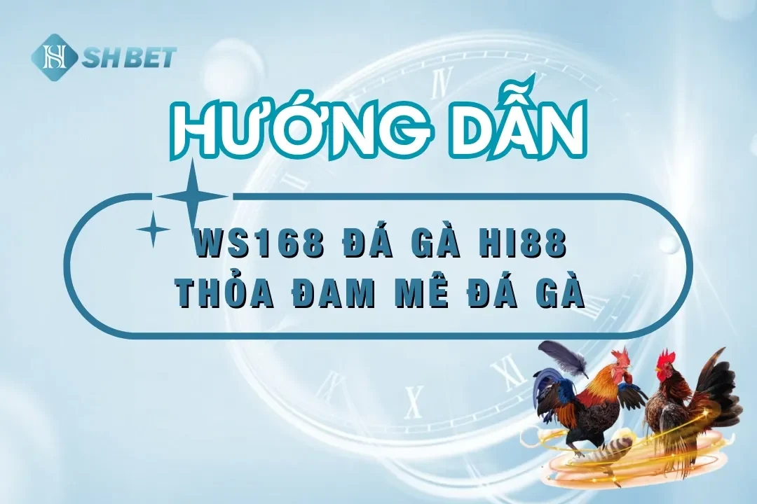 Sảnh WS168 Đá Gà HI88 – Lựa Chọn Của Các Cao Thủ