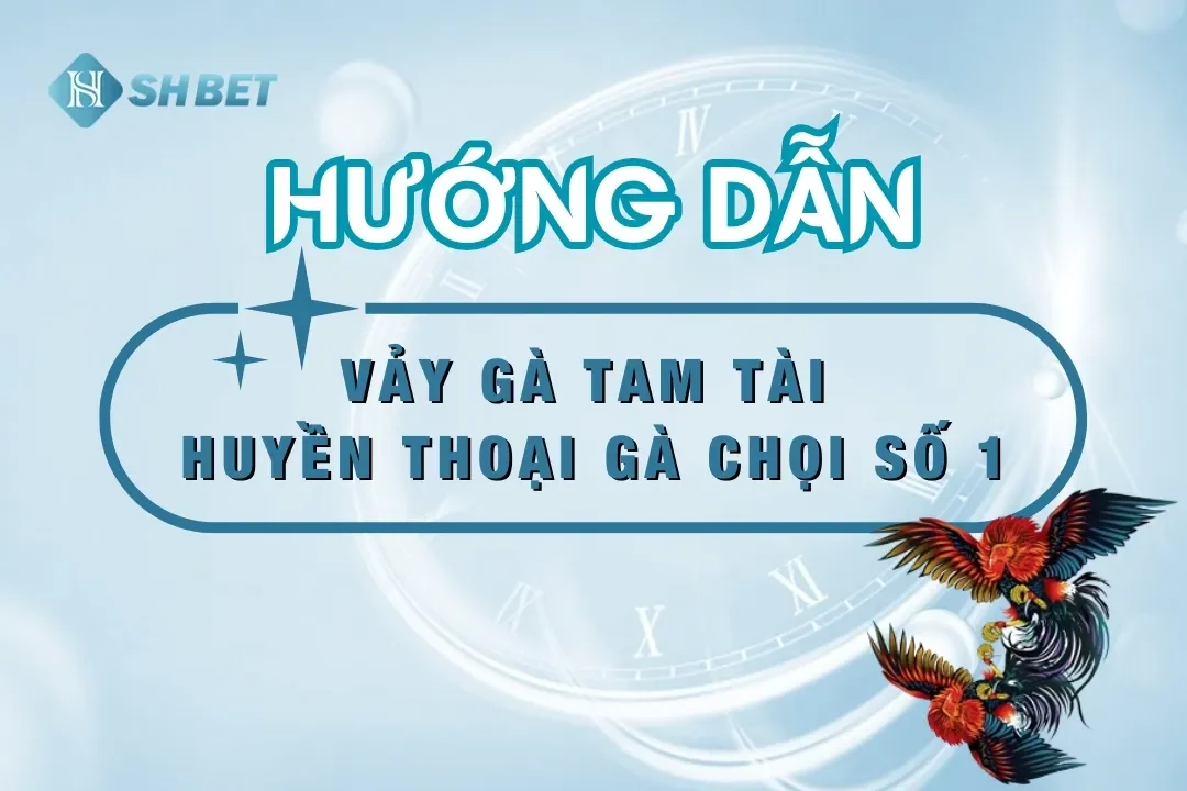 shbet5 com vảy gà tam tài