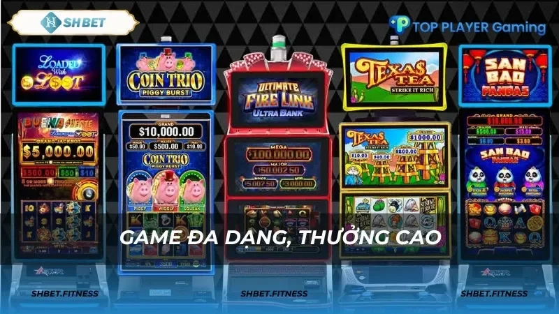 slot game TP shbet