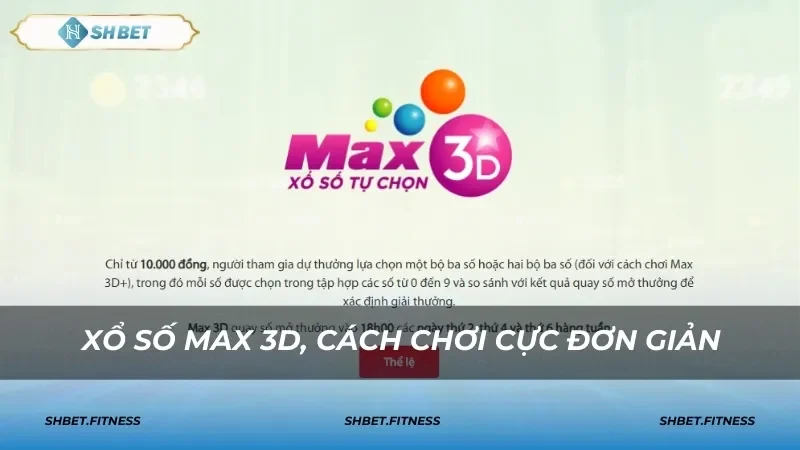 xổ số max 3D shbet top